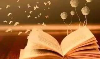 初中语文知识点总结 初中语文知识点总结